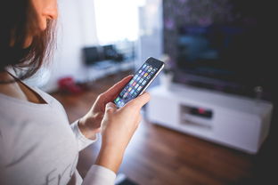 科技资讯App最新版本，苹果用户的全新体验